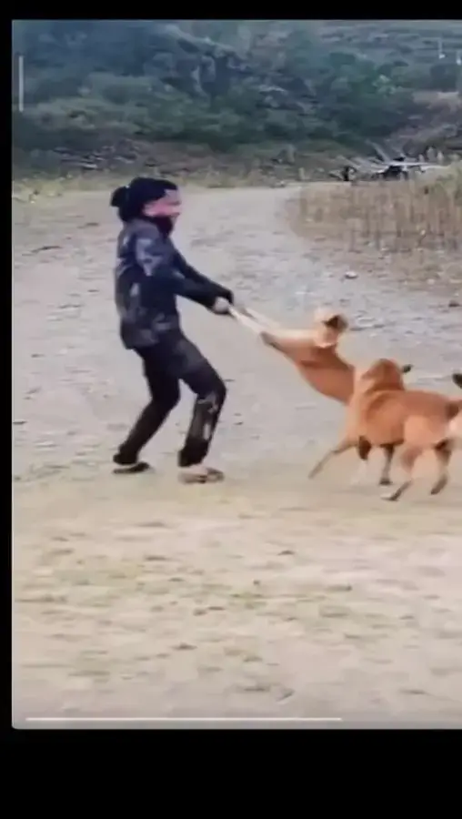 #funny video #foryoupage #