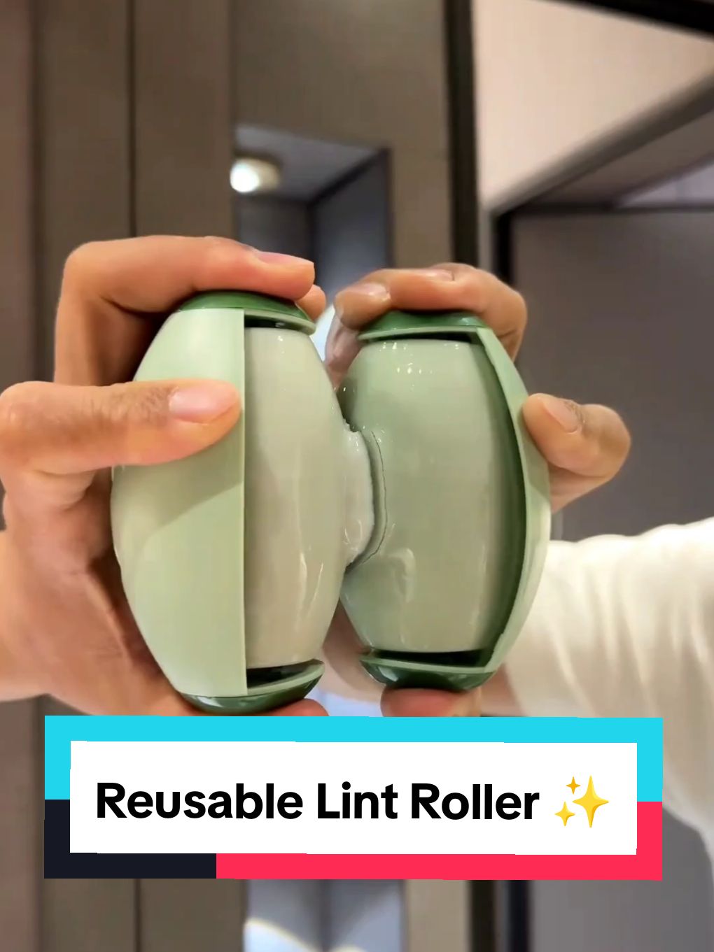 Reusable Lint Roller ✨️ #lintroller #dogproducts #dogsoftiktoks #dogs 