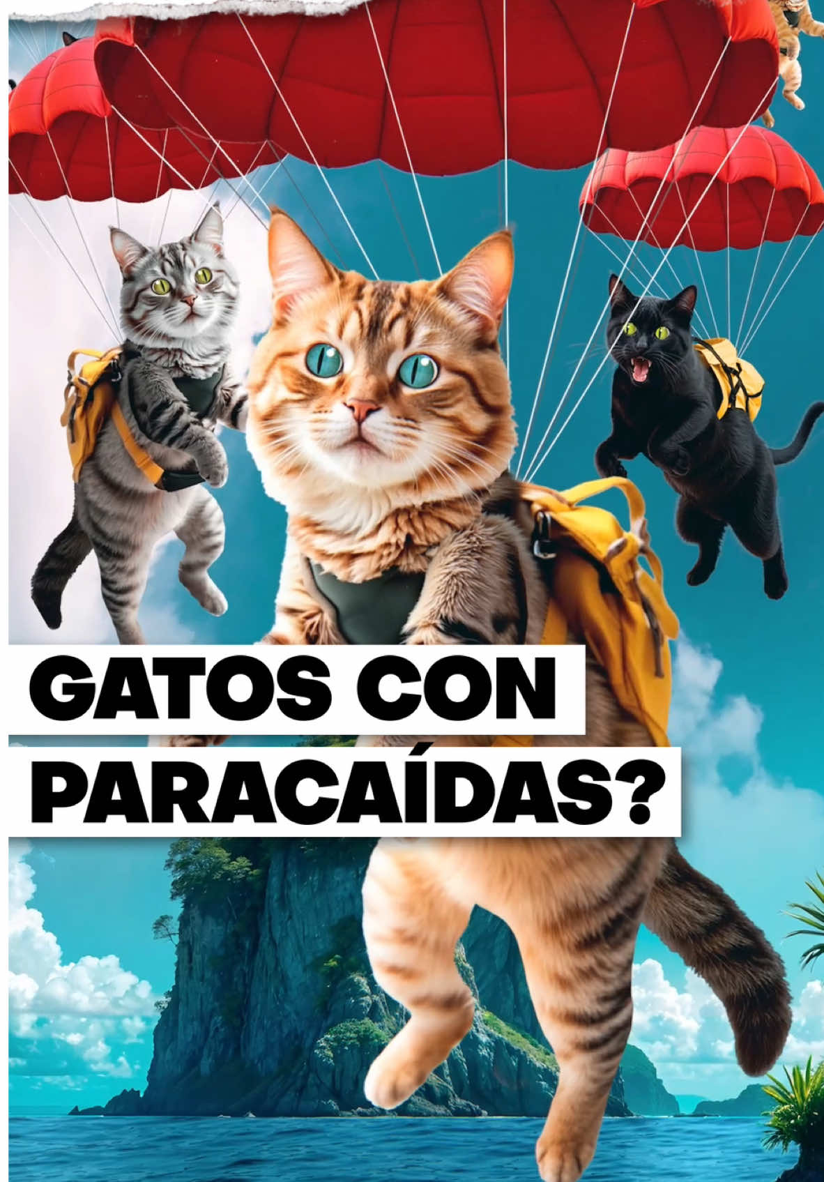 Gatos en paracaídas? Aparentemente si. En 1960 la OMS lanzó 14.000 gatos en paracaídas sobre la isla de Borneo. Los gatos no cayeron como se muestran en el video, sino dentro de cajas, como parte de un programa de combate contra una plaga de ratas. Hay fuentes contradictorias respecto a esta historia, a la tasa de mortalidad de DDT y a la cantidad exacta de datos. Yo conté la versión más popular, pero pueden ver las alternativas en un paper de la universidad de Iowa en catdrop.com