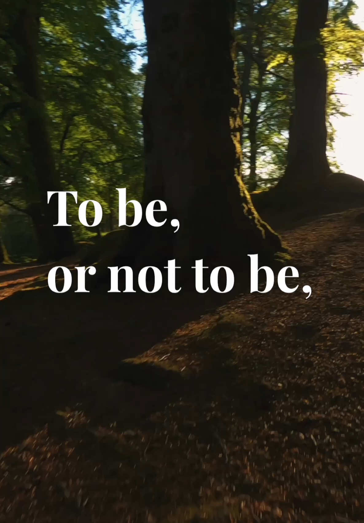 I thought I’d put my spin on the well known speech from Hamlet “To be, or not to be, that is the question” #hamlet #shakespeare #spokenpoetry #spokenwordpoetry 