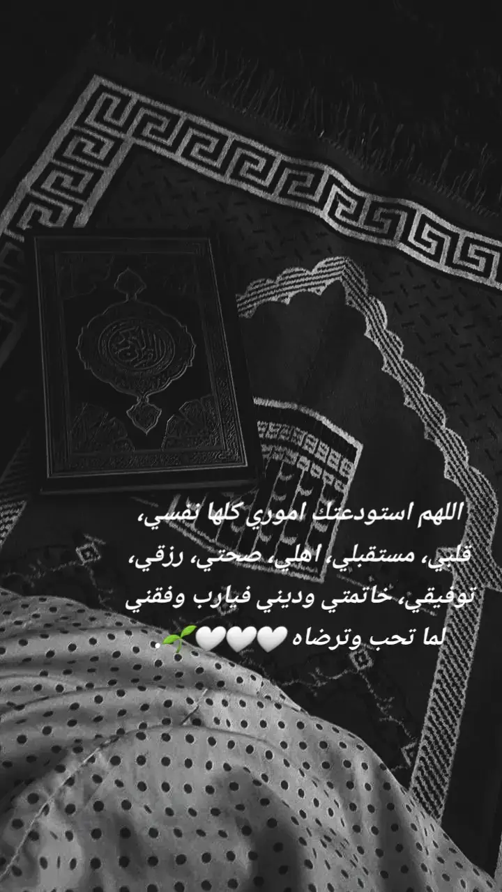 #اللهُم استودعتك كل امور حياتي، 🤍🌱 #يارب_فوضت_امري_اليك #ربي  #قرأن_كريم_راحة_نفسية 