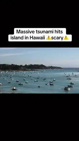 Thoughts?!😱 #tsunami #thalassophobia #wave #scary #hawaii #scaryocean #naturaldisaster #foryoupage 