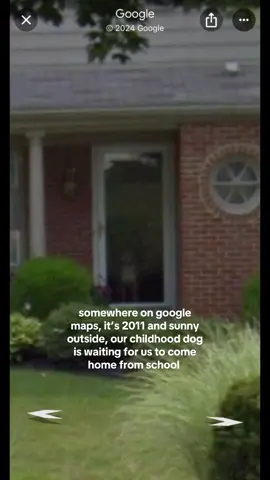 my souldog that sent me my current dog. stay there forever buddy 🫶🏼 #boxersoftiktok #brunotheboxer #dogsoftiktok #dog #Vlogmas #souldog #googleearth #googlemaps #maps 