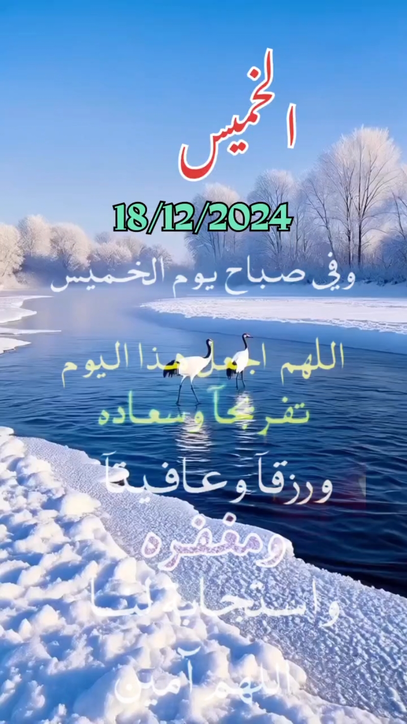 اللهم_في_صباح_يوم الخميس_يارب #دعاء_يريح_القلوب _أنشر _ اكتب شيء_ سورة الكهف_وصلي على سيدنا محمد ﷺ#اسلاميات_صور_مقاطع_ايات_معلومات_قرآن_مسلم_ادعية_استغفر_الله #fypシ゚viral #1millionaudition #🤲🤲🕋🕋🤲🤲 #عيد_سعيد Oh mon Dieu, Jeudi, Seigneur Oh God, on Thursday Lord