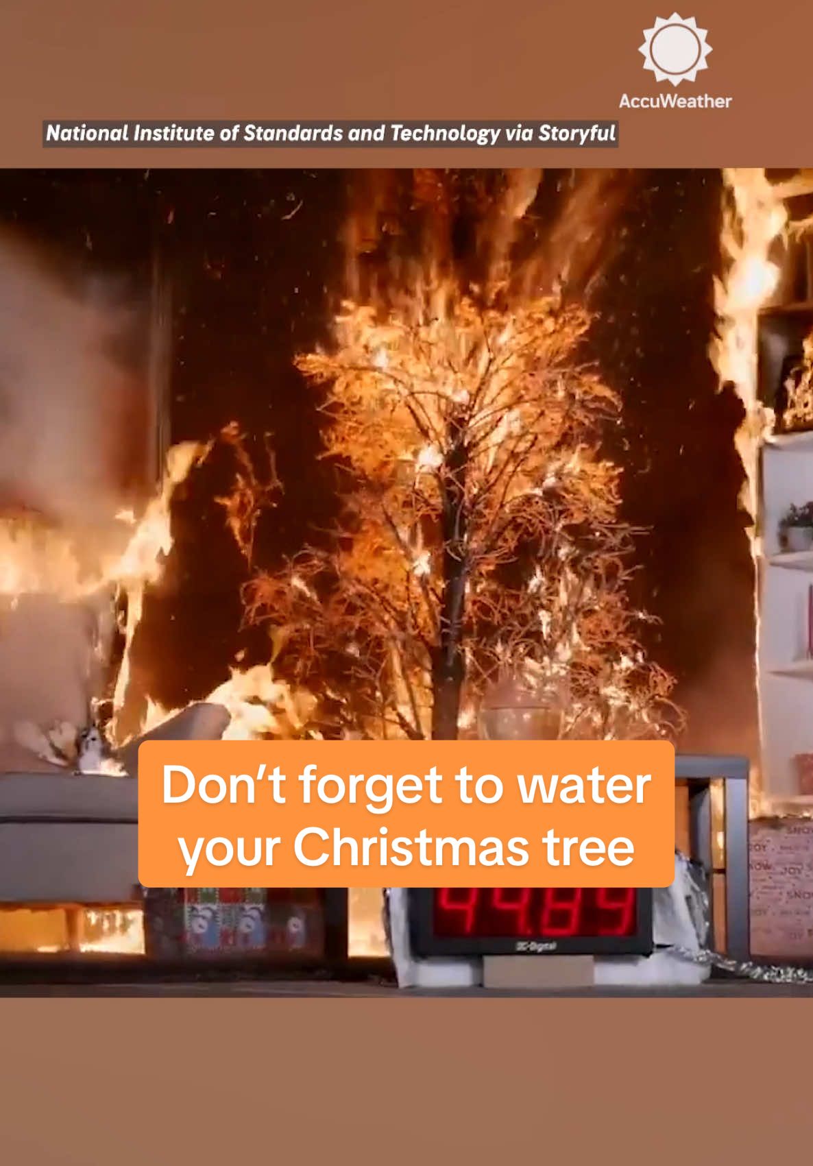 One week until Christmas! 🎄 Don't forget to water your tree if you have a real one!  #christmas #christmastime #fire #firesaftey #firerisk #christmastree #housefires #safety #tips #news #accuweather 