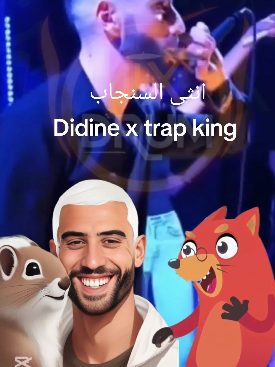 #@Didine Canon 16 Officiel  انثى السنجاب مع ديدين و تراب كينغ 🤦‍♂️😂 Didine x trapking   #المغرب🇲🇦تونس🇹🇳الجزائر🇩🇿 #trendingvideo #foryoupage❤️❤️ 