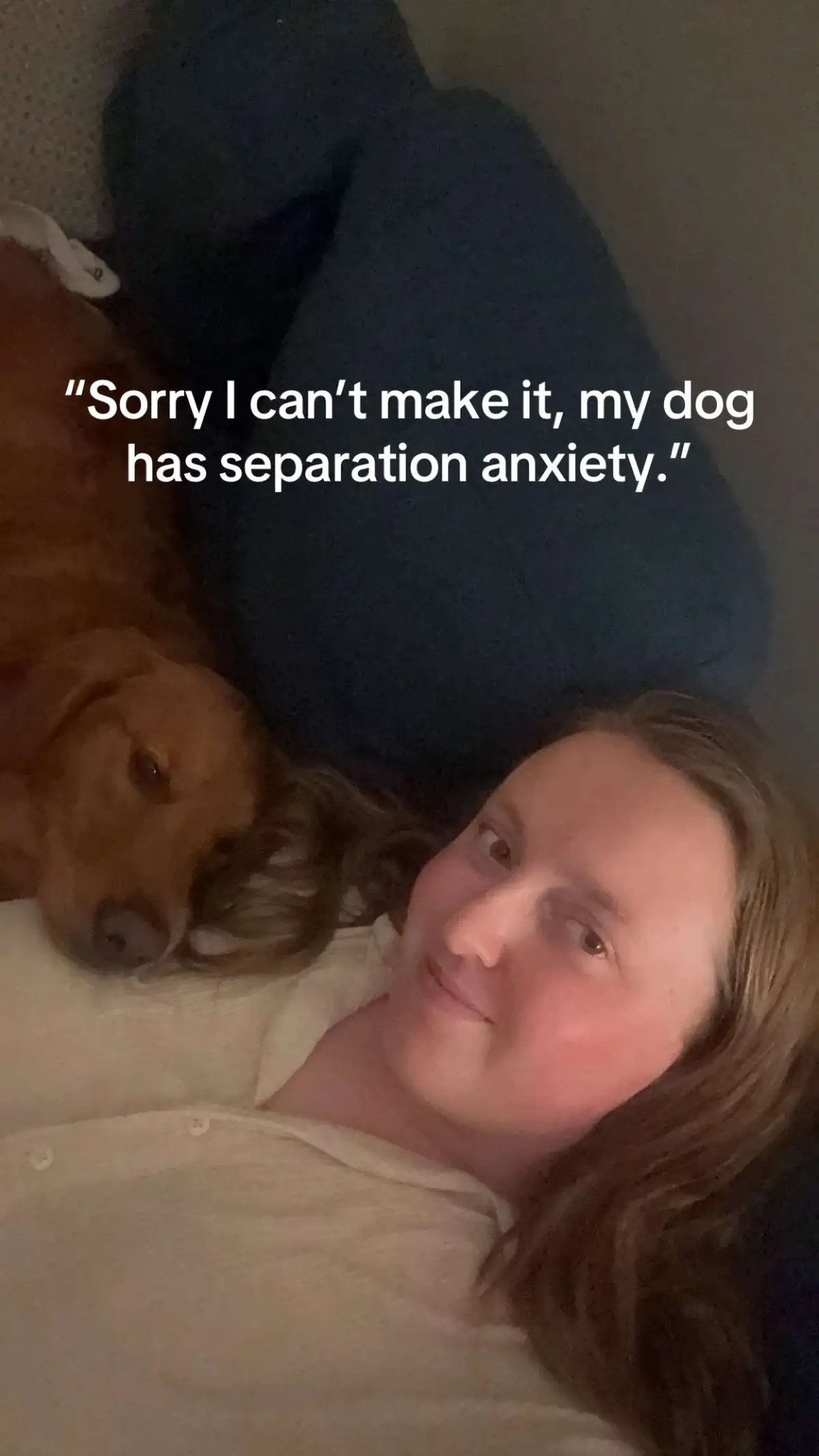🥲 #goldenretriever #dogsoftiktok #fyp 