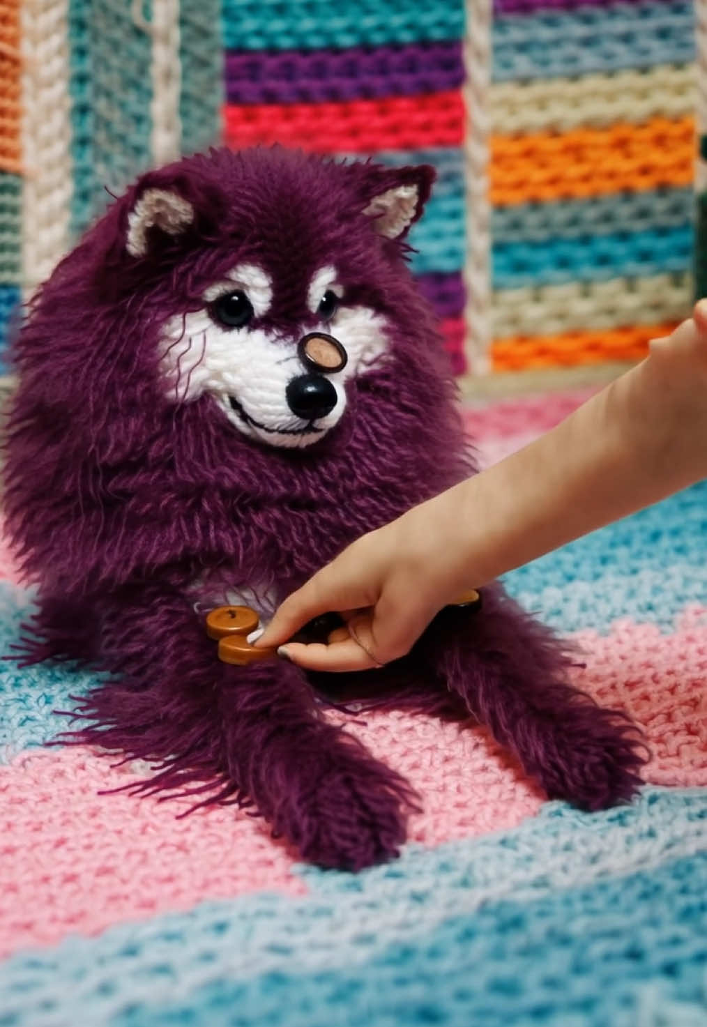 Doggyo does tricks #dogsoftiktok #dogs #tricks #puppy #fun #knitpets 