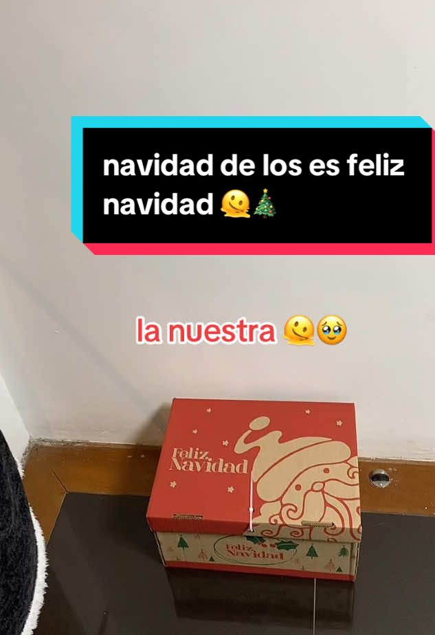 😪#navidad #fyp #foryoupage #foryou #canastanavideña #humor #viral_video #navidaddelospobres 