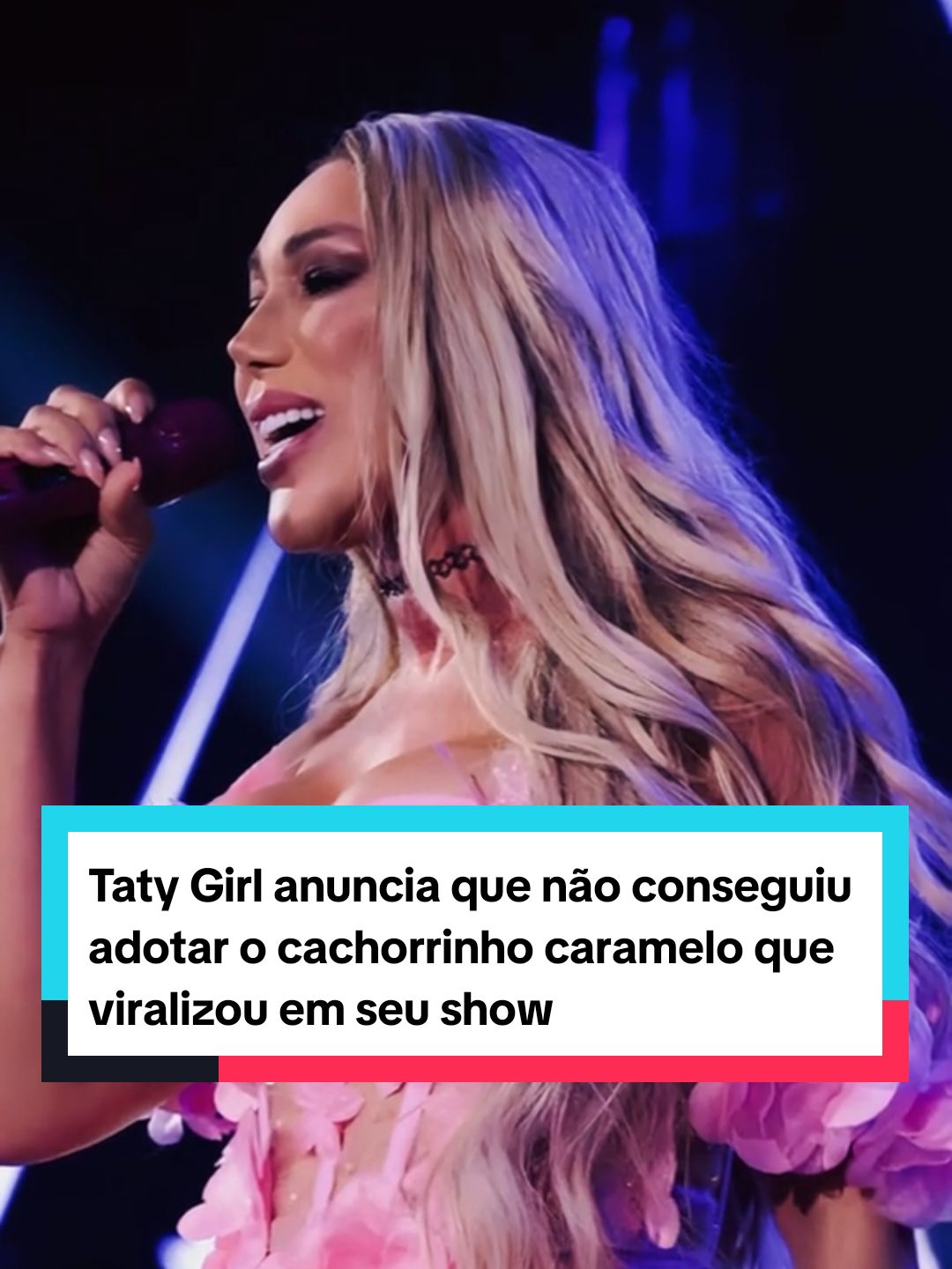 Taty Girl anuncia que não conseguiu adotar o cachorrinho caramelo que viralizou em seu show #tatygirl #cachorrocaramelo #show