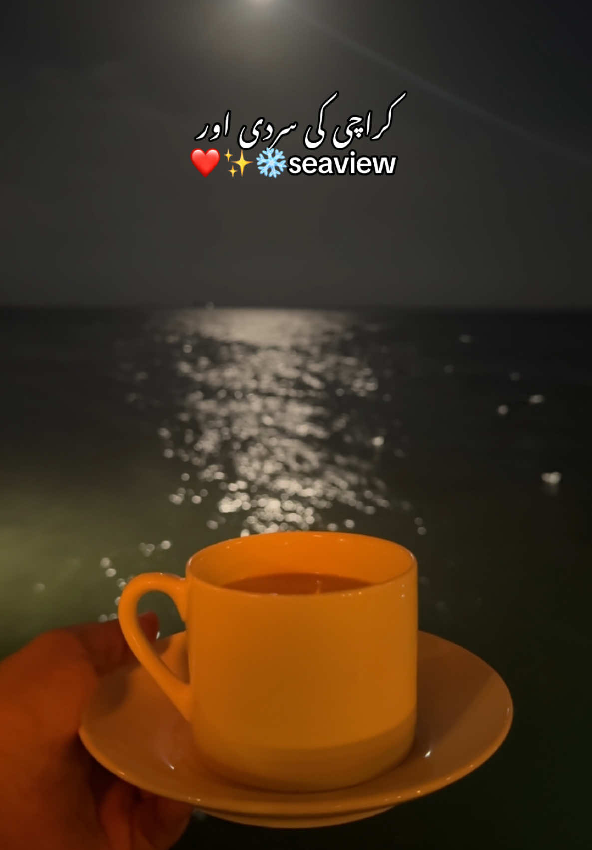 Kon kon thand me seaview jata hai? . . #karachi #fy #fyp #foryoupage #foryoupageofficiall #karachicity #seaview #seaviewkarachi #seaviewclifton #clifton #cliftonkarachi #karachiseaview #thand #sardi #romantic #shayari #dodarya 