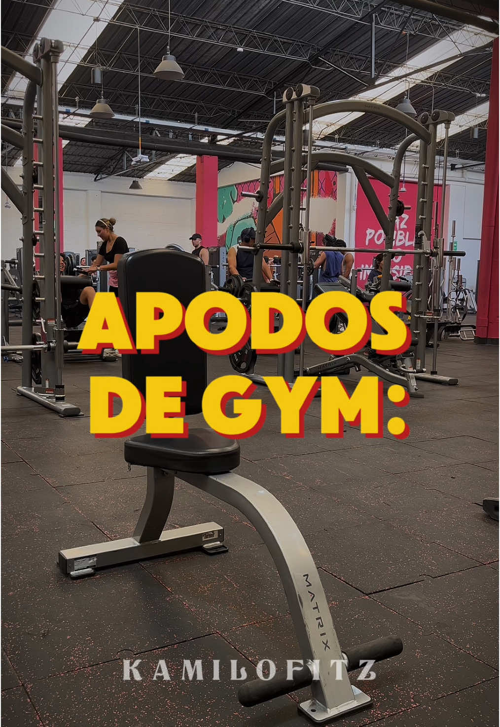 DEJA TU MEJOR APODO DE GYM 👻 #gymrat #gym #gymmemes #gymbro 