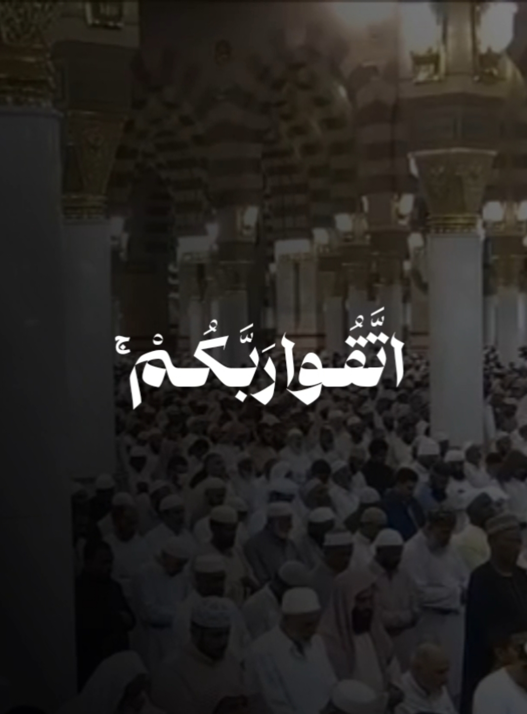 أيات، حيث يصف الله نوعين من العباد. امن الذي يَقُوم الليلَ ساجداً و قائماً يحذر الآخرةَ خيرٌ أم الكافِر المتمتع بكفره خير؟. لا يستوون. إنما يتذكر ويعرف الفرق أصحاب العُقول السليمة. و أن يتقي الُمؤمنينَ رَبهُم و أنه سَيُجازيهم بغير  حساب 🤍. مما تيسر من سورة سورة الزُمَر الشيخ أحمد بن طالب حميد 🤍. #احمد_بن_طالب | #سورة_الزمر 