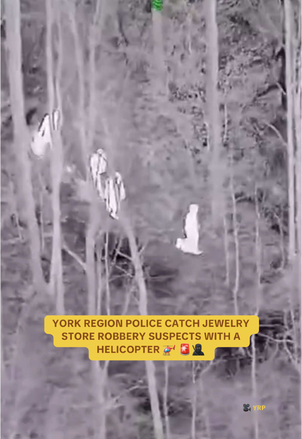 Do you think you could’ve gotten away? 🚁👮‍♂️🏃‍♂️ Let us know in the comments! #6ixbuzz #yorkregion #yrp #toronto #torontotiktok #fyp 