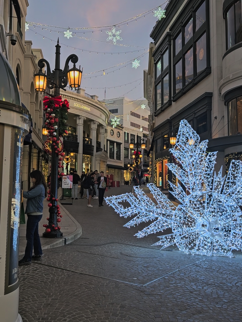 not a big city girl but can't deny it was a beautiful sight🌟 #LA #rodeodrive #holidaylights #christmaslights #sightsandsounds #atmosphere 