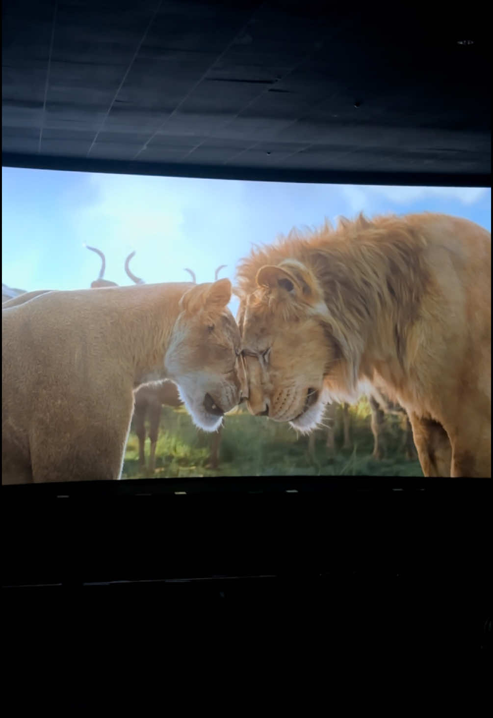 best disney movie of all the time 🥹🤍 #lion #lionking #mufasa #scar #disney #disneymovie #simba #fyp #cinema #foryour #voorjou #helivesinme