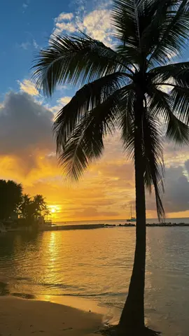 Tobago 🫶🏼🇹🇹