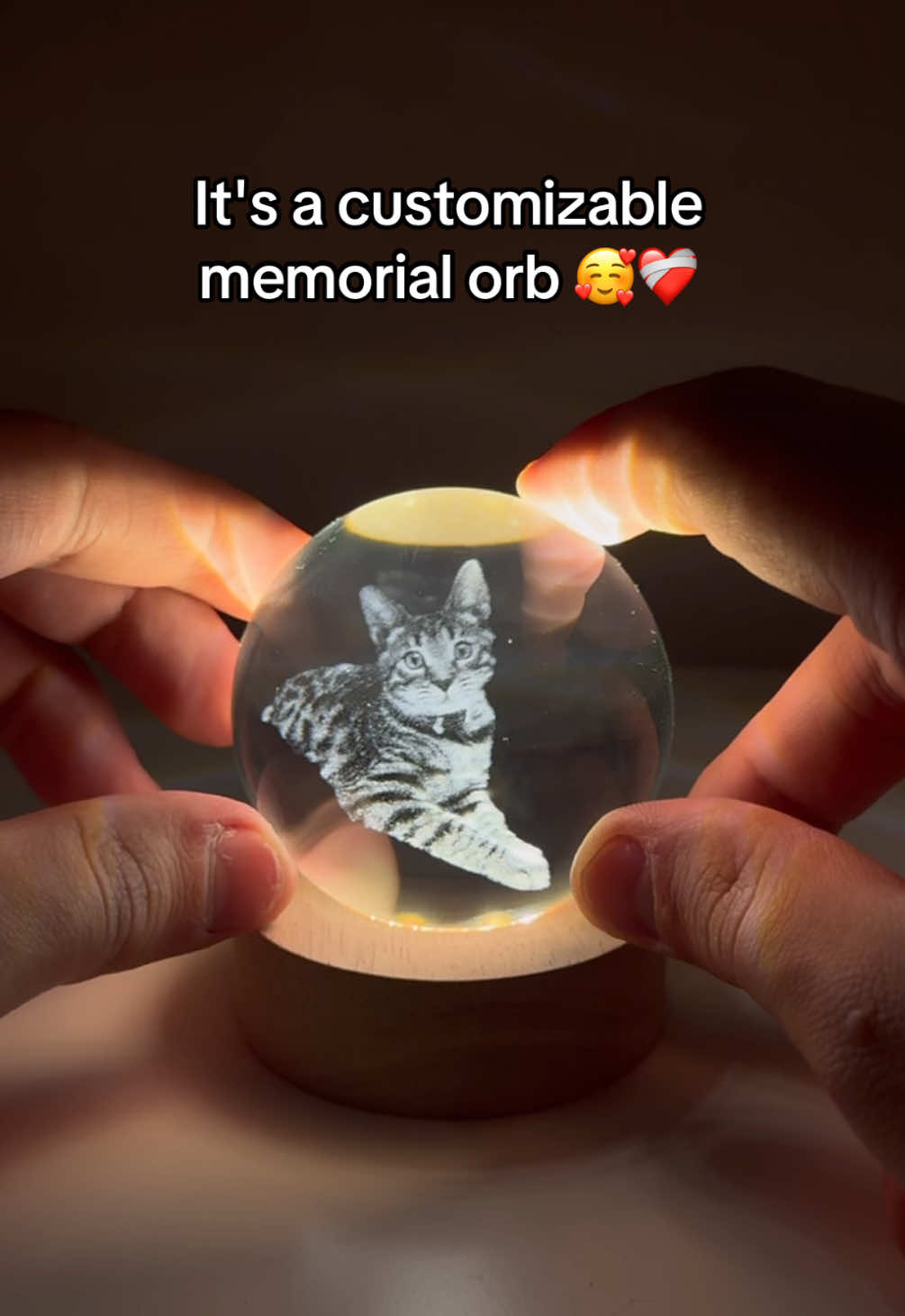 Thank you mom 🥹❤️‍🩹 #cats #giftideas #pets 