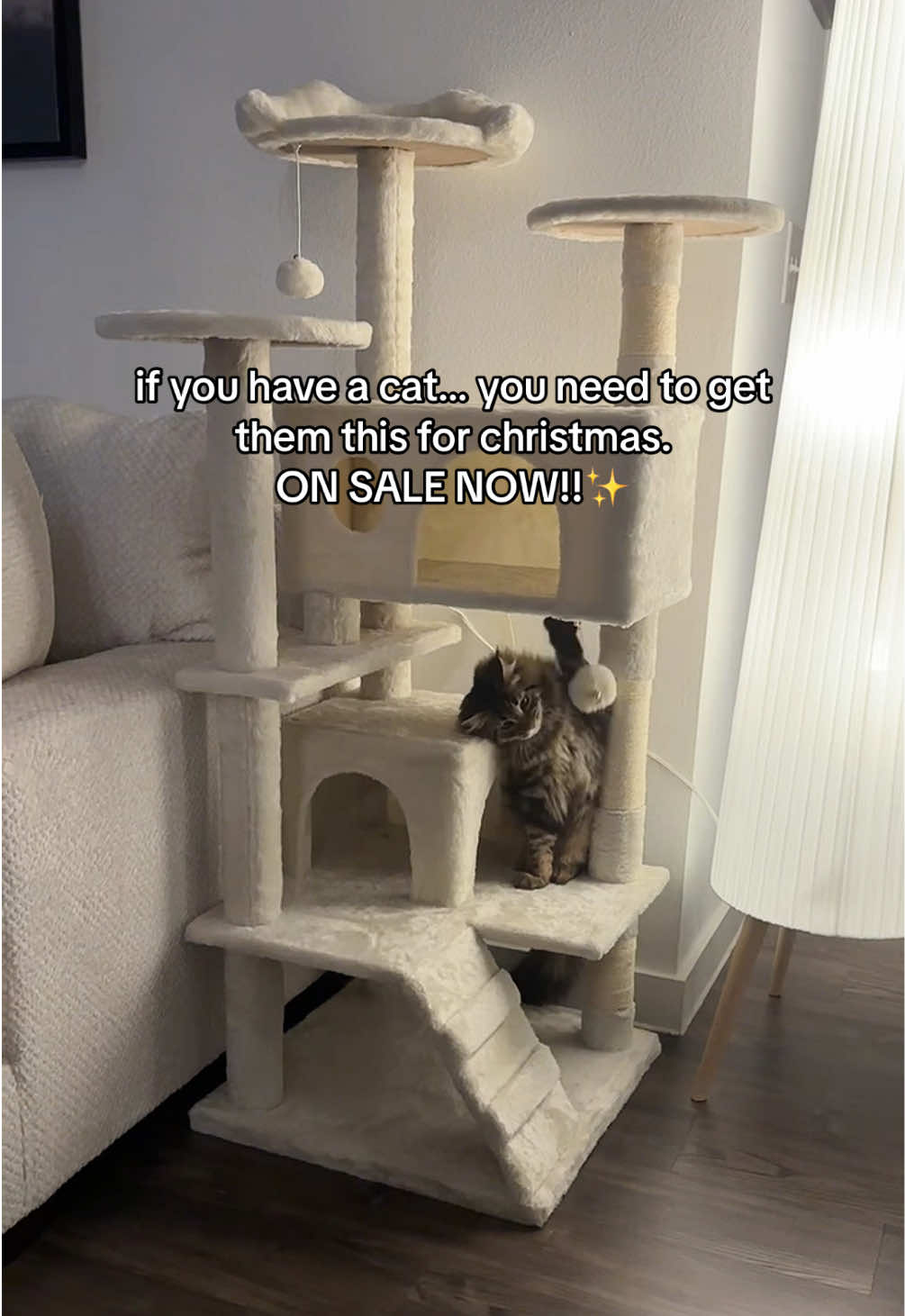 RUNNN- CAT TREE ON SALE NOW‼️ Trust me, your cat will LOVE this!! One of the best things I ever bought him🥹✨ Was $75 and now it’s on Sale for $48!! Run and get yours while it’s still in stock!!🫶  #cattree #pettrove #siberiancat #hypoallergeniccats #cat #kitten #kittensoftiktok #cattoys #christmas #cattreats #catslovers #catsvideo #fyp #fypシ #viralvideo #foryoupage 