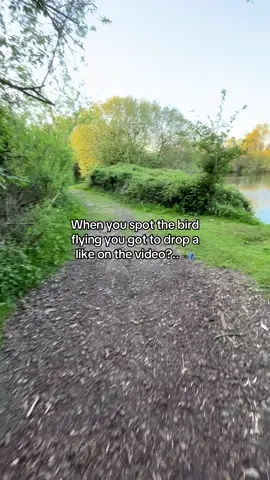 Did you see it?.. 👀🎣 #fyp #foryou #foryoupage #fishing #fishinglife #fishtok #angler #carpfishing #nayzofishing #viral 
