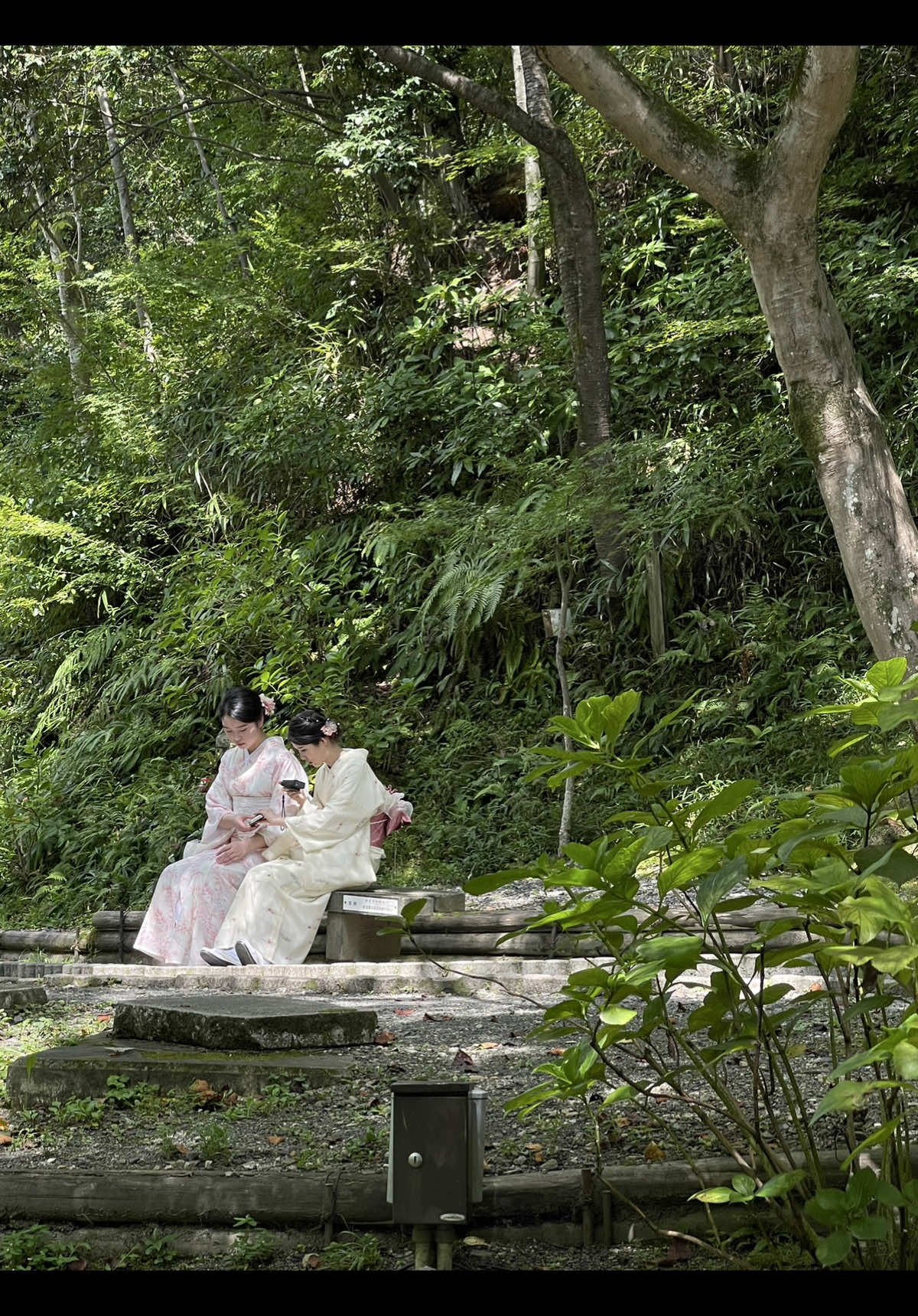 the most beautiful country on this planet, japan #cinematic #japan #japantravel #countryside #japanthings #japaneseculture 