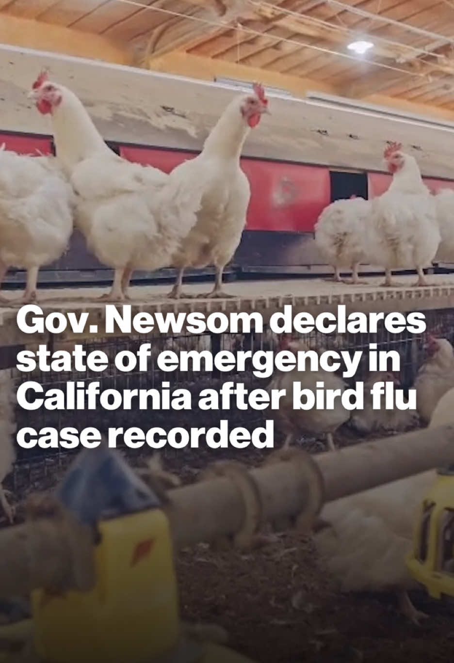 California has declared a state of emergency after the first severe case of bird flu in the U.S. was confirmed.