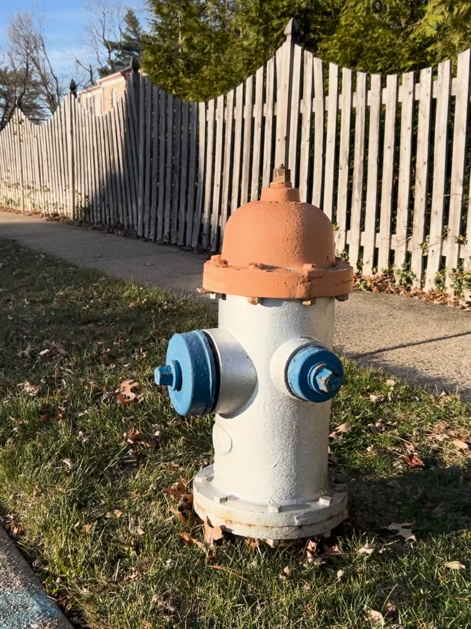 Fire Hydrant  . . . #funny #fyp #foryoupage #firehydrant #lost #sketch #hallucination #suburbs #fire