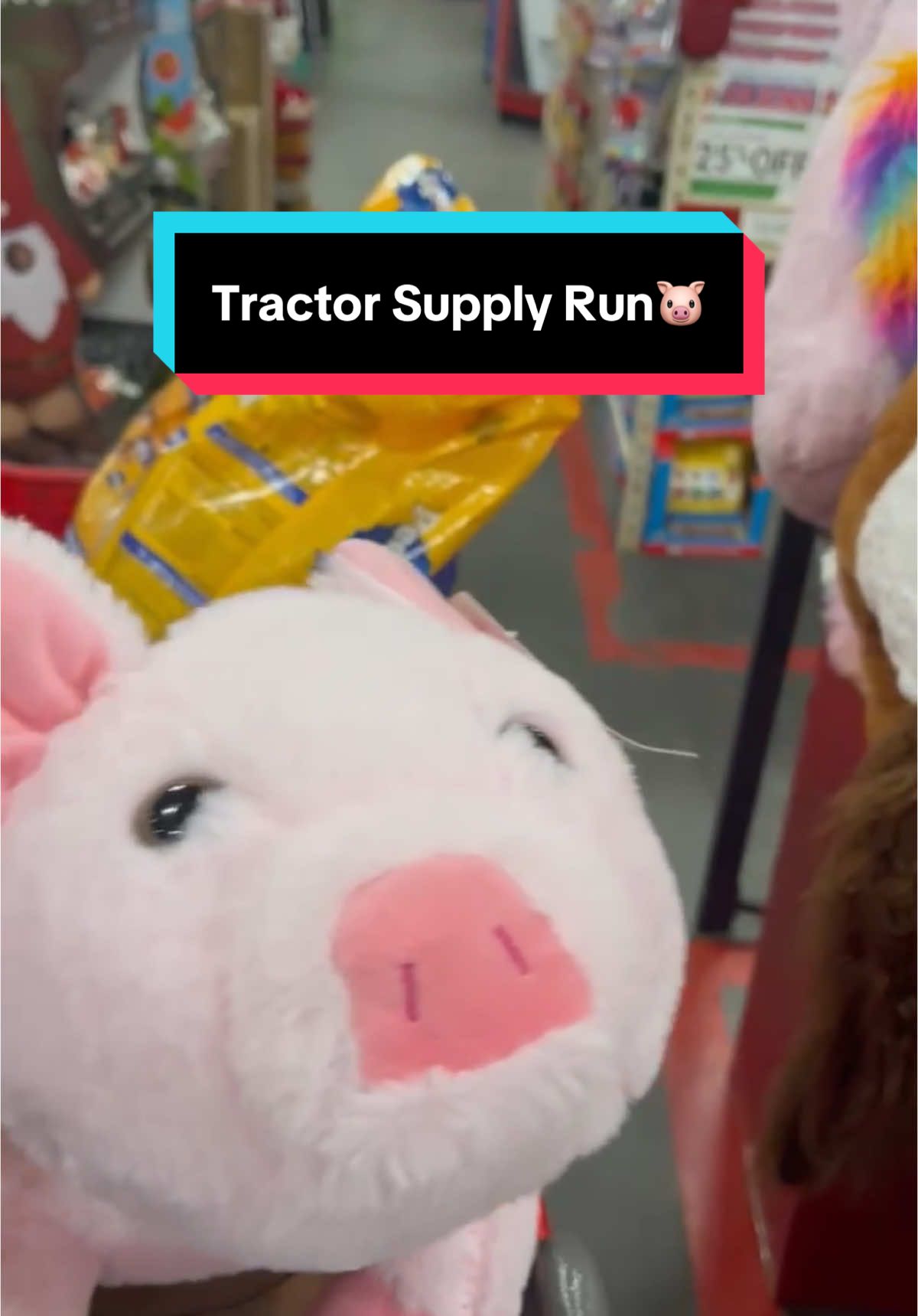 Trackor Supply to pick up some essentials for Dora #dorathepig #piglet #rescuedpig #recoveryjourney #tractorsupply 