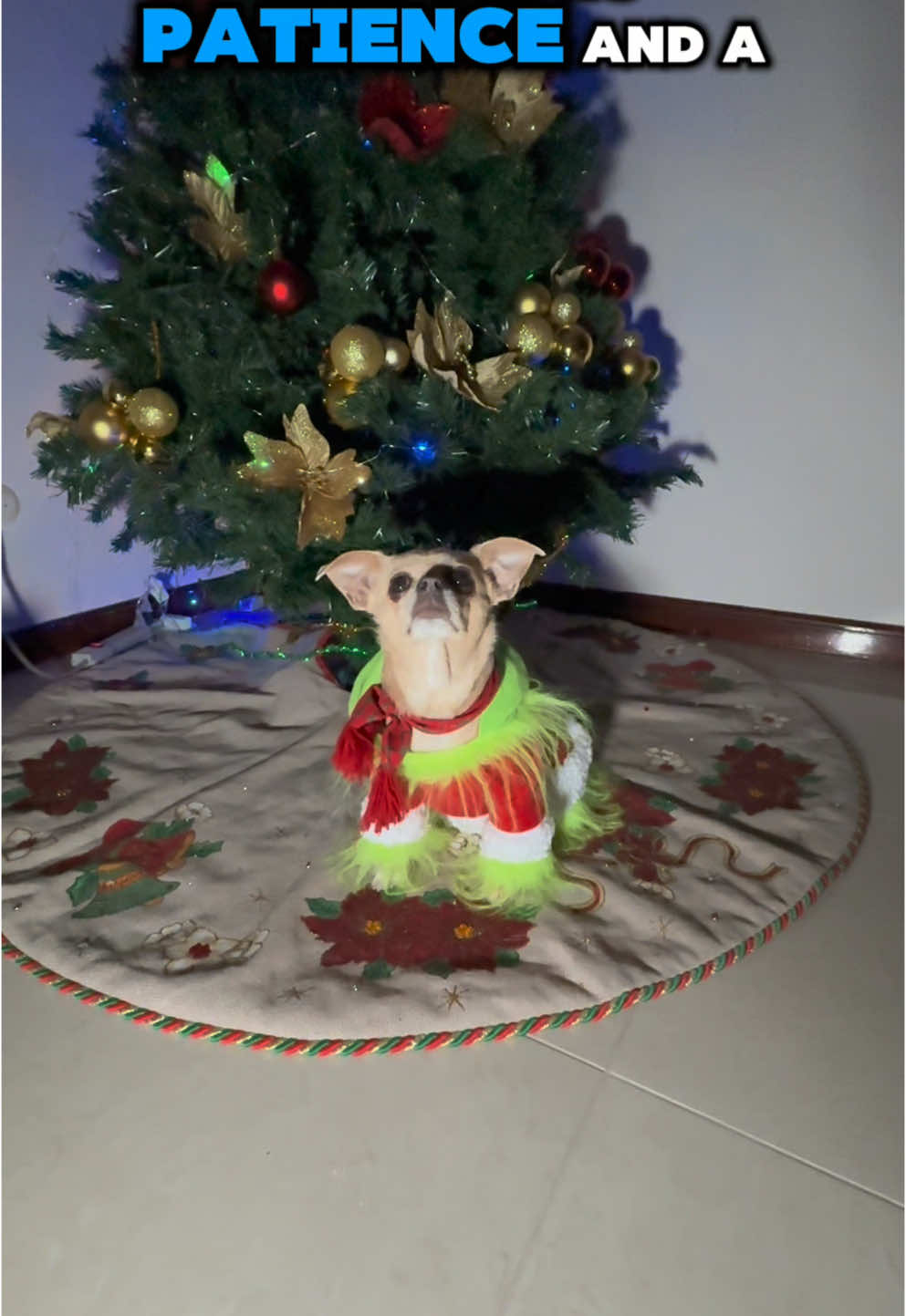 Even the Grinch can’t resist the magic of treats and training! 🎄✨ Watch how we turned chaos into calm this holiday season with a little patience, rewards, and love. 🐾💚 Because every pup deserves to be part of the celebration! #DogTraining #HolidayMagic #GrinchTransformation #HappyHolidays #DogLovers #AkraCreations #TreatTraining 