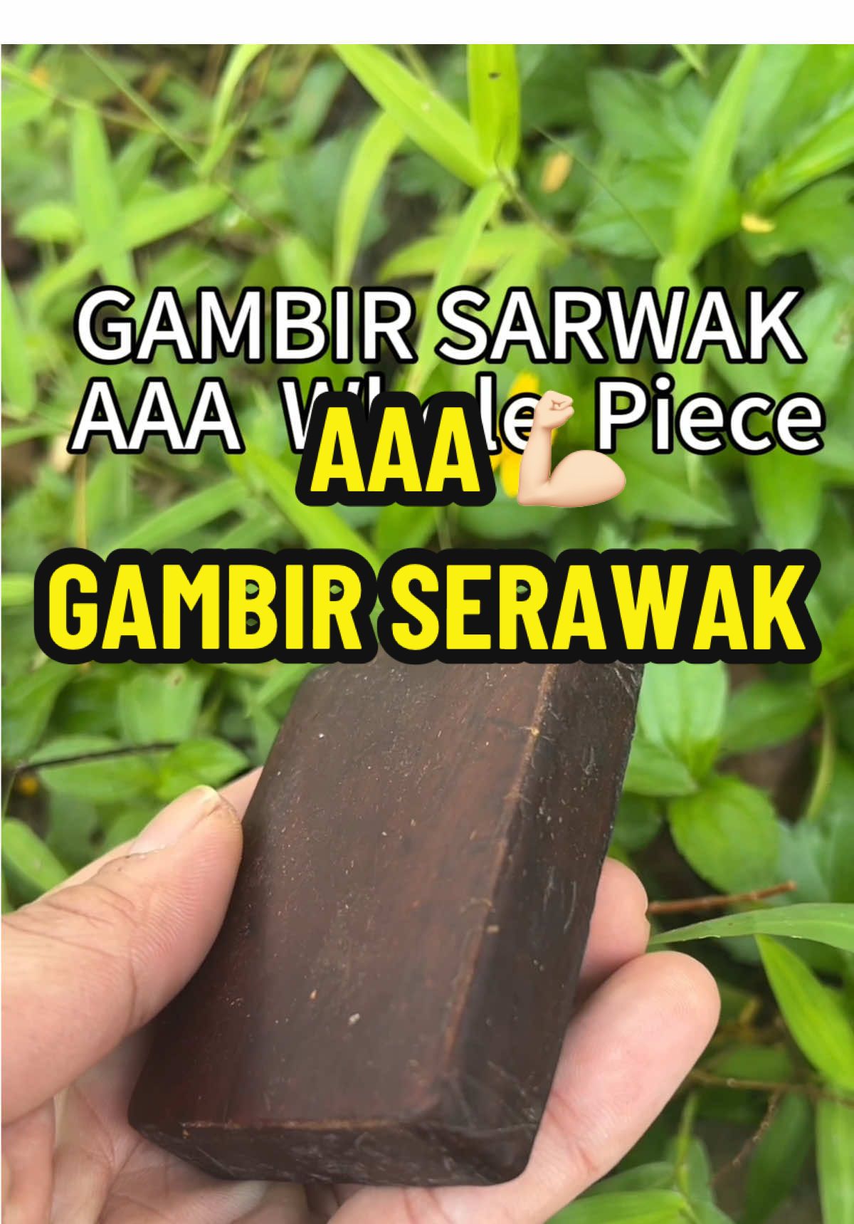 FIRST Gred A GAMBIR SARAWAK - Whole Piece By Block  #gambir #gambirserawak   #gambirasli  #borneo  #tiktok #supply   #sarawak 