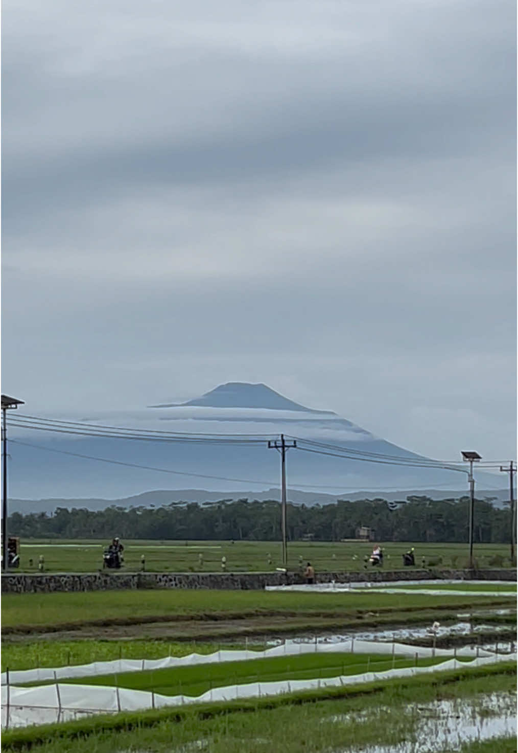 Gunung slamet dari nusawungu Cilacap 🤩