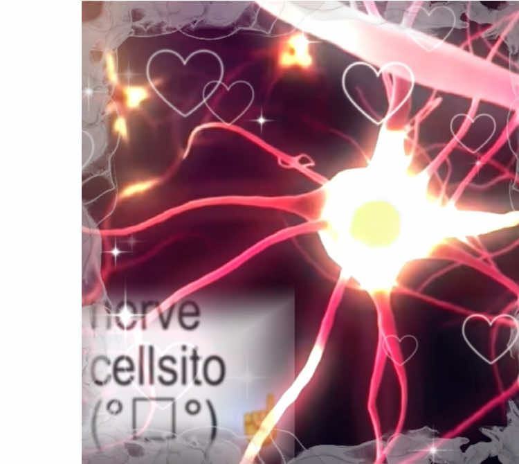 Cellsitos y Cellsitas ^v^  #edit #organelle #organelles #science #scienceismagic #scienceexperiments #scienceathome #sciencetok #scienceexperiment #scienceiscool #stem #stemlife #STEMTok #sito #sita #trend #spanishtiktok #fyp #fypシ #educational #education #animalcell #plantcell #cell #typesofcells #nerves #blood #brain #muscles #plants #animals #bones #etc 