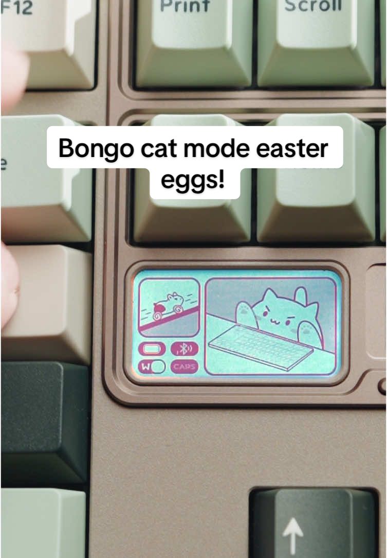 The QK80MK2 has the best bongo cat mode ever; my search is finally over! #keyboard #keyboardasmr #mechanicalkeyboard 