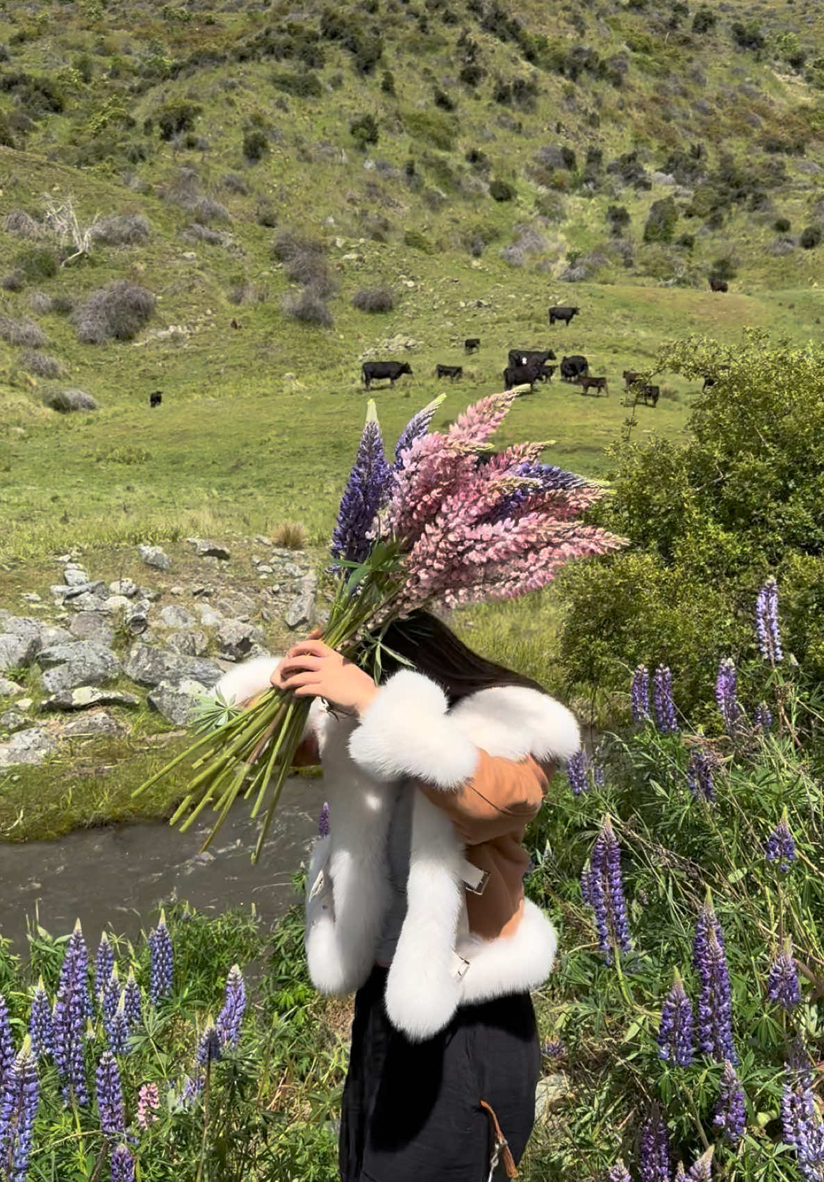 Wildflower picking 