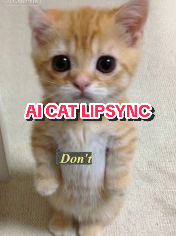 AI CAT LIPSYNC #CapCut #fyp #globalaidc #aidiscord #lipsync #capcutlipsync #capcuttemplates #cat #catlover #catsoftiktok 