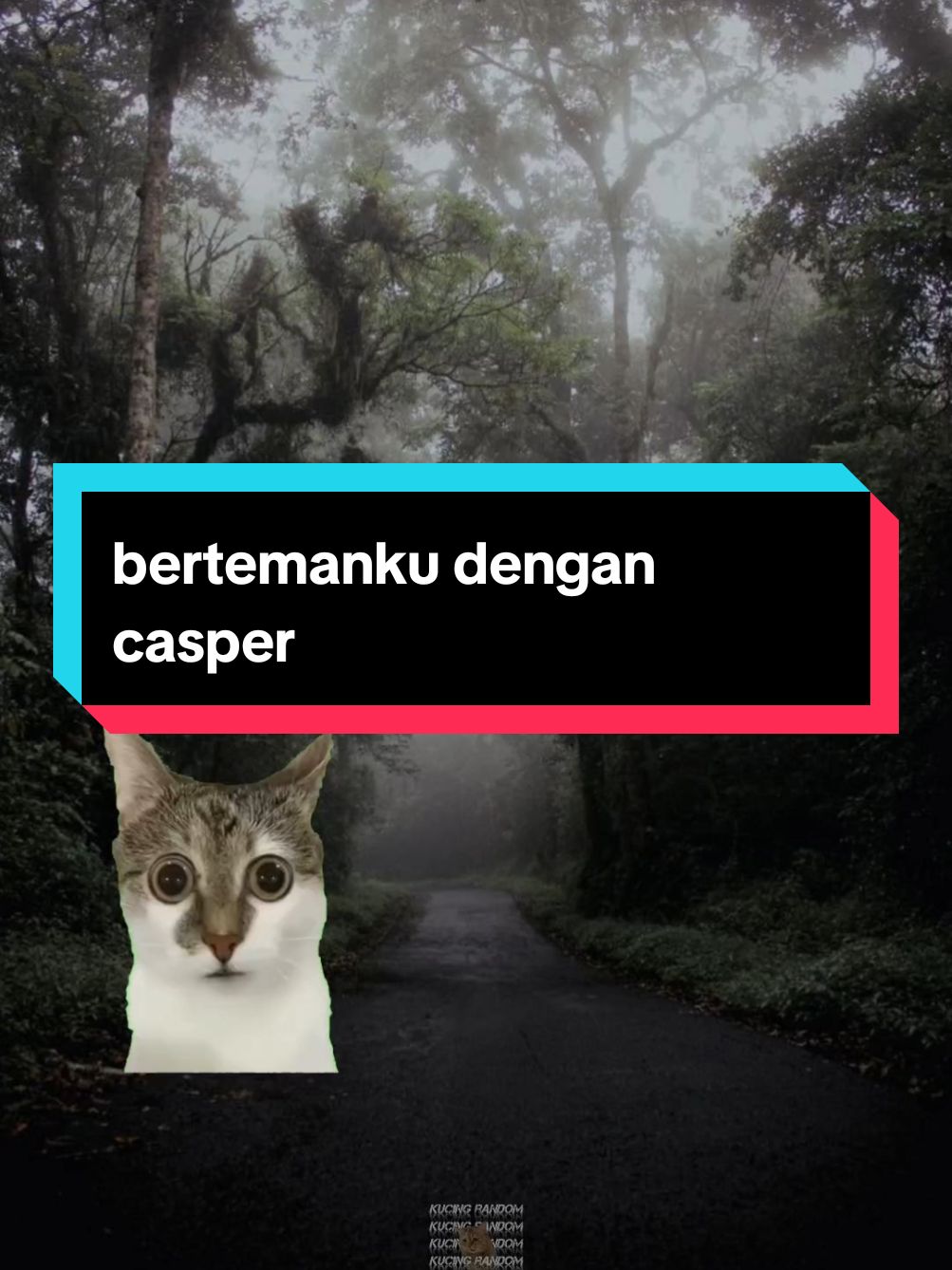 di kegelapan bertemanku dengan casper😎 #memecat #kucinglucu #kucingtiktok #memekucing #tiktokkucing #fyp #viral 