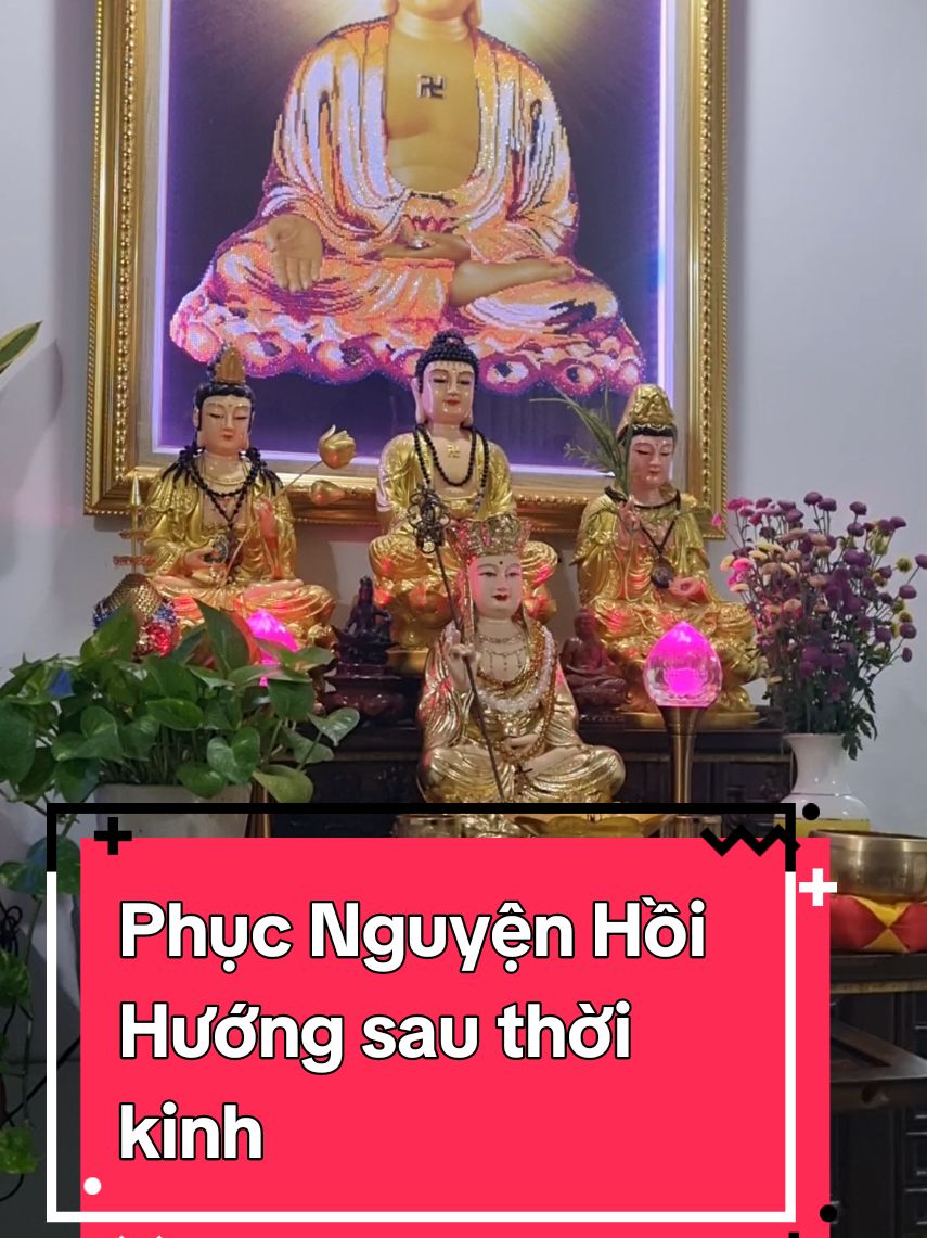 Trả lời @ngodach62  Nguyện đem công đức này hướng về khắp tất cả, Đệ tử và chúng sanh, đồng sanh về cực lạc. 