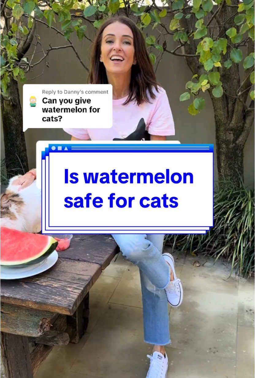 Replying to @Danny watermelon is on as an occasional treat, if ypur cat enjoys it. If your cat has any dietary issues, always ask your vet first #cattreats #cattips 