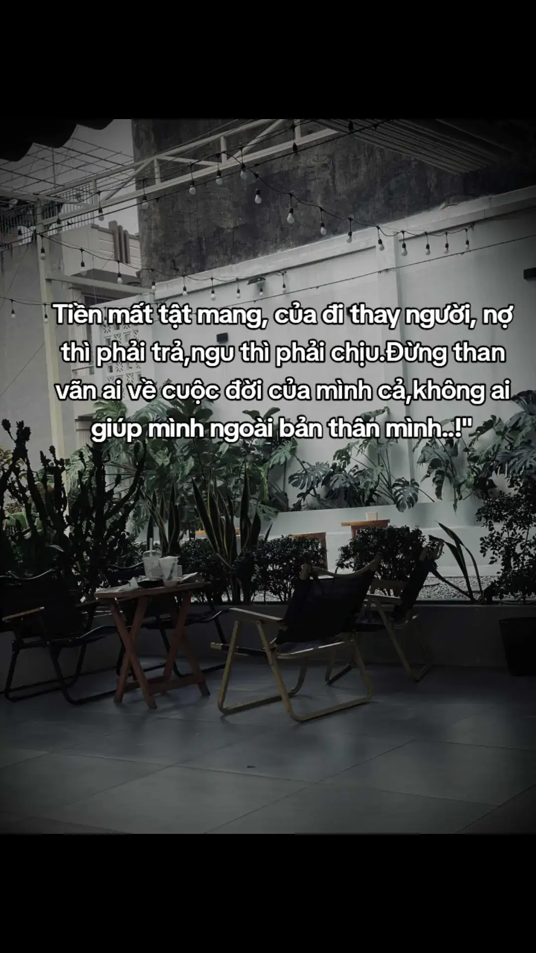 Tiền mất tật mang, của đi thay người, nợ thì phải trả,ngu thì phải chịu.Đừng than vãn ai về cuộc đời của mình cả,không ai giúp mình ngoài bản thân mình..!