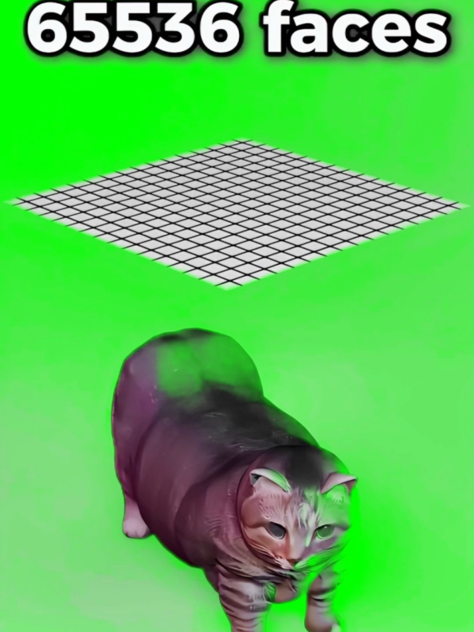 OiaCat with 65K faces #fyp #3d #game #meme #oiacat #cat #catlover #catsoftiktok 