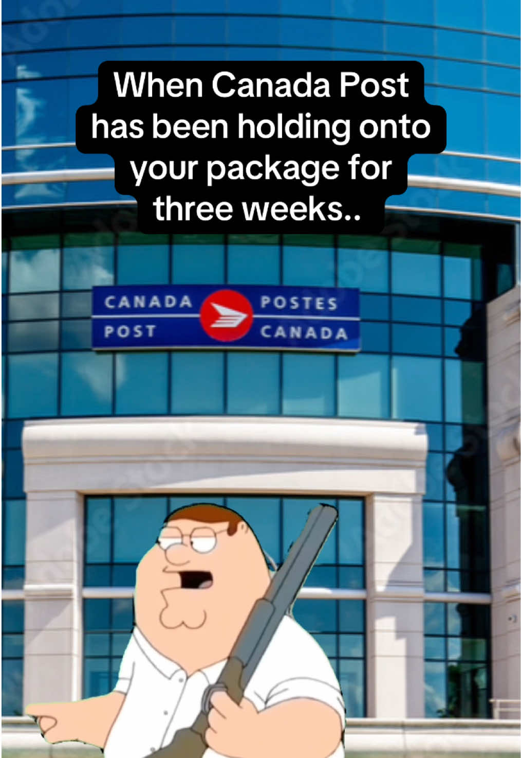 #canadapost #canadapostproblems #petergriffin #familyguy #funny #fypシ゚ #fyp #memesoftiktok #hilarious #delivery #deliverydriver #package #ichooseviolence #givememymoney #strike 