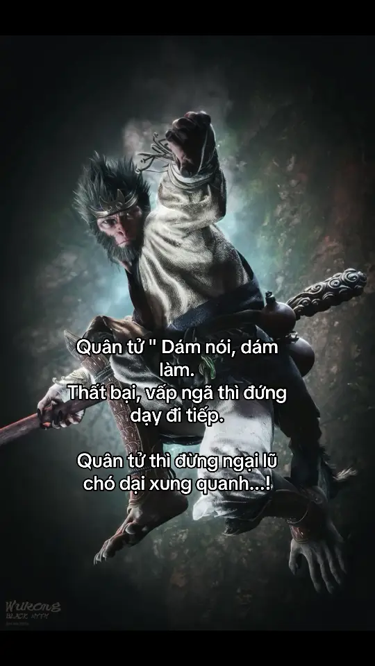 Quân tử 