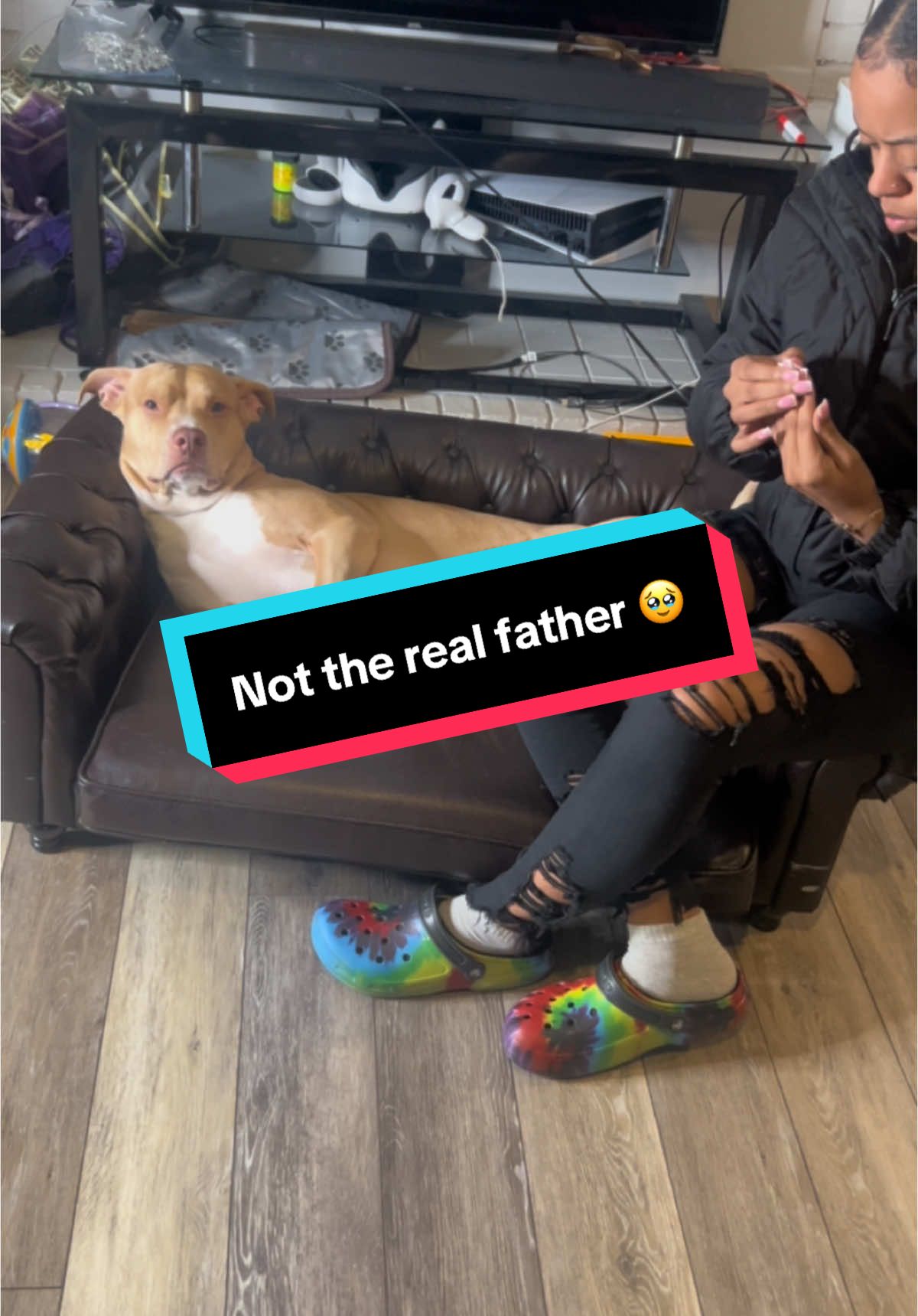 Grandma told Bishop Ace that he’s not the biological father of Papi Jay… #A#Aceb#bishopacep#pitbullsoftiktokd#dogsoftiktokf#fypa#aceandgrandmag#grandmaandacef#foryourpaged#dogofgod