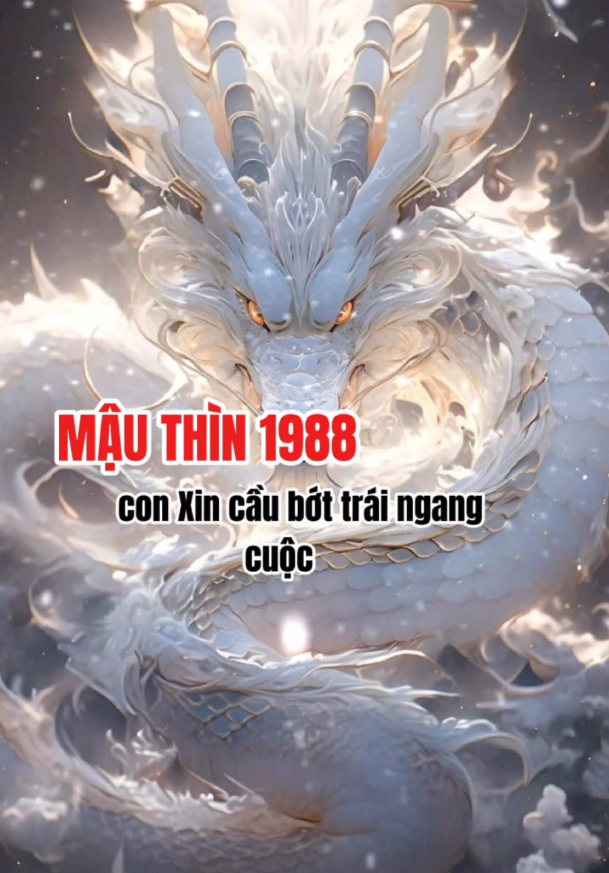 Những người sinh năm 1988 thuộc tuổi Mậu Thìn, mệnh Đại Lâm Mộc (gỗ rừng già). Bản chất của Đại Lâm Mộc là cây lớn giữa rừng, xòe rộng tán cây, đứng sừng sững giữa rừng. Cho nên người tuổi Mậu Thìn có tấm lòng nhân hậu, sống ôn hòa, họ sống hết mình và luôn che chở, bảo vệ cho những người xung quanh. #phongthuy #vatphamphongthuy #thuyduongdt #phongthuycaivan8386 #mauthin1988 