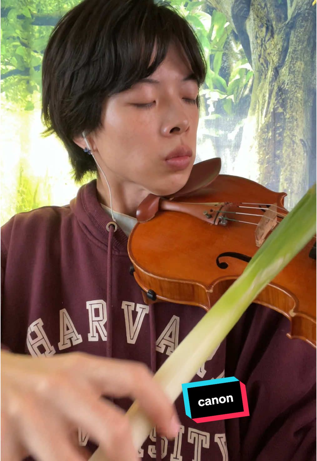 I play the violin with green onion(real)#violin 