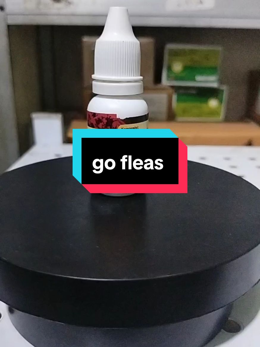 go fleas obat kutu dan cacing pada ayam 