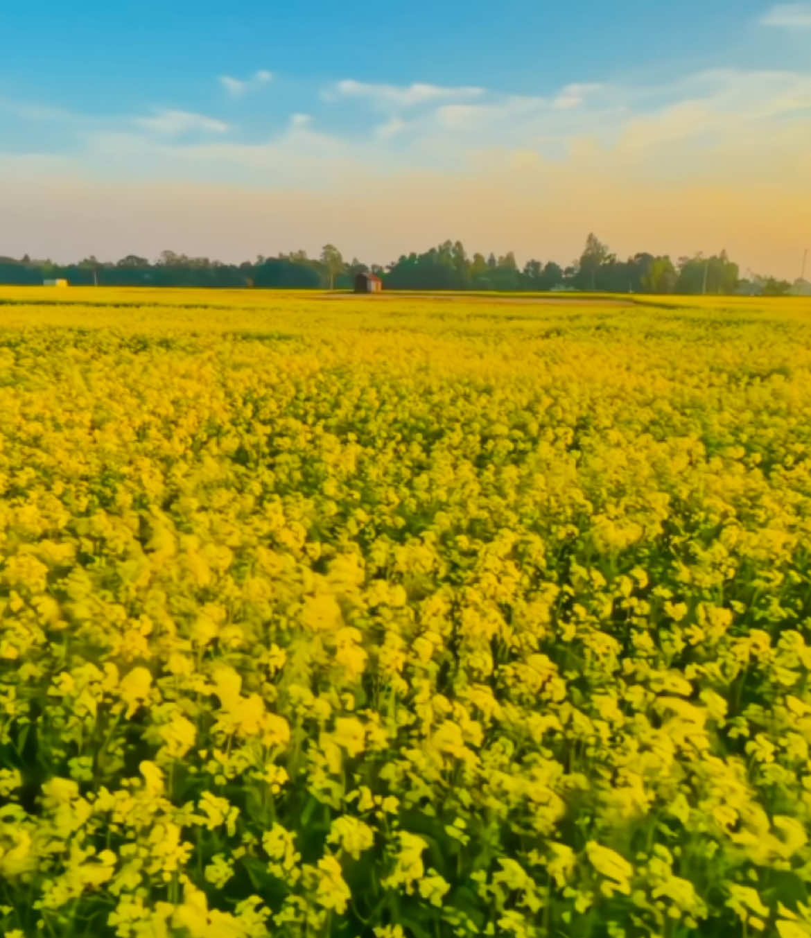 ❤️ #tiktok #furyou #প্রাকৃতিক_সুন্দর্য #প্রাকৃতিক #song #weather #unfrezzmyaccount #fypシ゚ #fyupage 