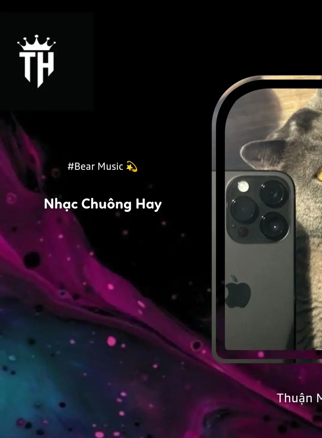 iphone nhạc chuông mèo #iphonecat  #nhacchuongiphone  #xhtiktok #nhachaymoingay  #music #lyrics #remix #fly  #xh2024 #xuhuong2024  #master2024bytiktok  #thuanmusic297  #nhachaymoingay 