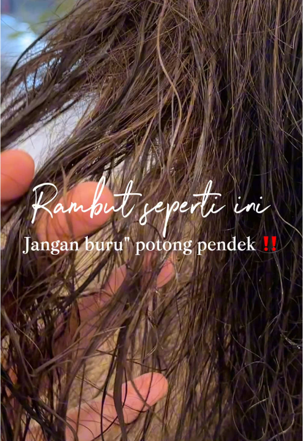 Buat yg lagi putus asa sama kondisi rambut rusak, wajib banget cobain Treatment ini sekarang juga ‼️ karena rambut bisa lebih sehat dalam 1x kedatangan, yuk buat appointment sekarang di Alex's Salon Tumapel ✨ ##fyp##salon##salonsurabaya##CapCut##surabaya##fypdong##viralvideo##fypシ゚viral##fypageシ##fypシ##fypgakni##rambutglowing##salonviralsurabaya##salonviral#perawatanrambutrusak #perbaikanrambut #doubledose #perawatanrambut 