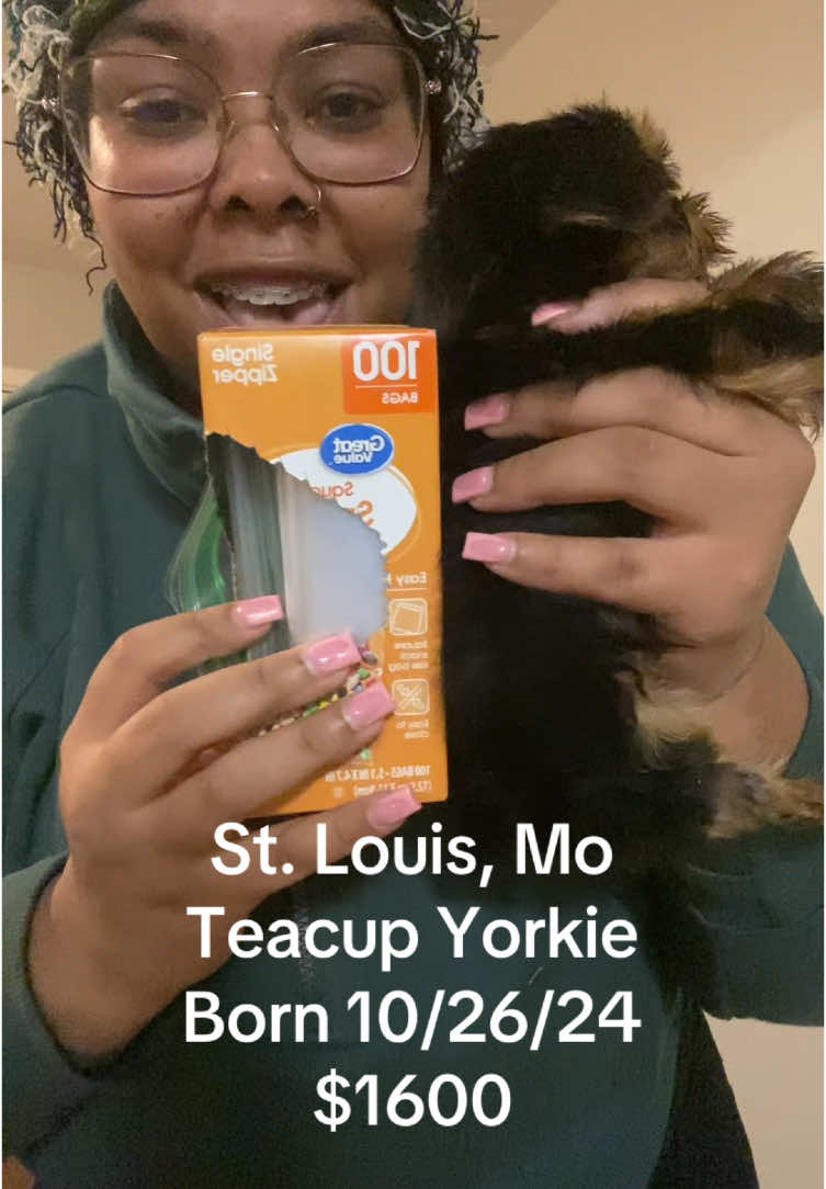 If youre ln the Saint Louis area and want to meet dm me ! A paw perfect christmas gift 🫶🏽🥰🥳 #stl #saintlouis #christmas #christmaspuppy #yorkie #yorkiesoftiktok #yorkieforchristmas 